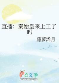 野草风筝的主要内容是什么