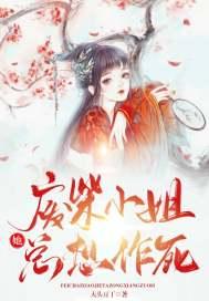 凤舞讲的是什么
