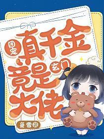 烛烬讲了什么
