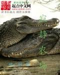 禁地至尊QQ阅读