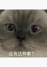 只愿伊人笑gl