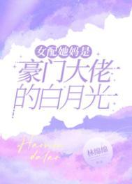 先生的小甜妻全文阅读
