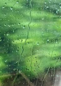 男配稳拿深情剧本 祝麟